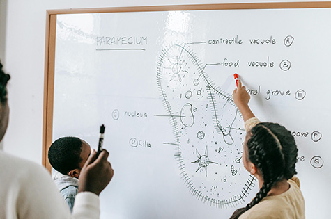 Structured curriculum